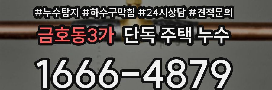 금호동3가 단독 주택 누수