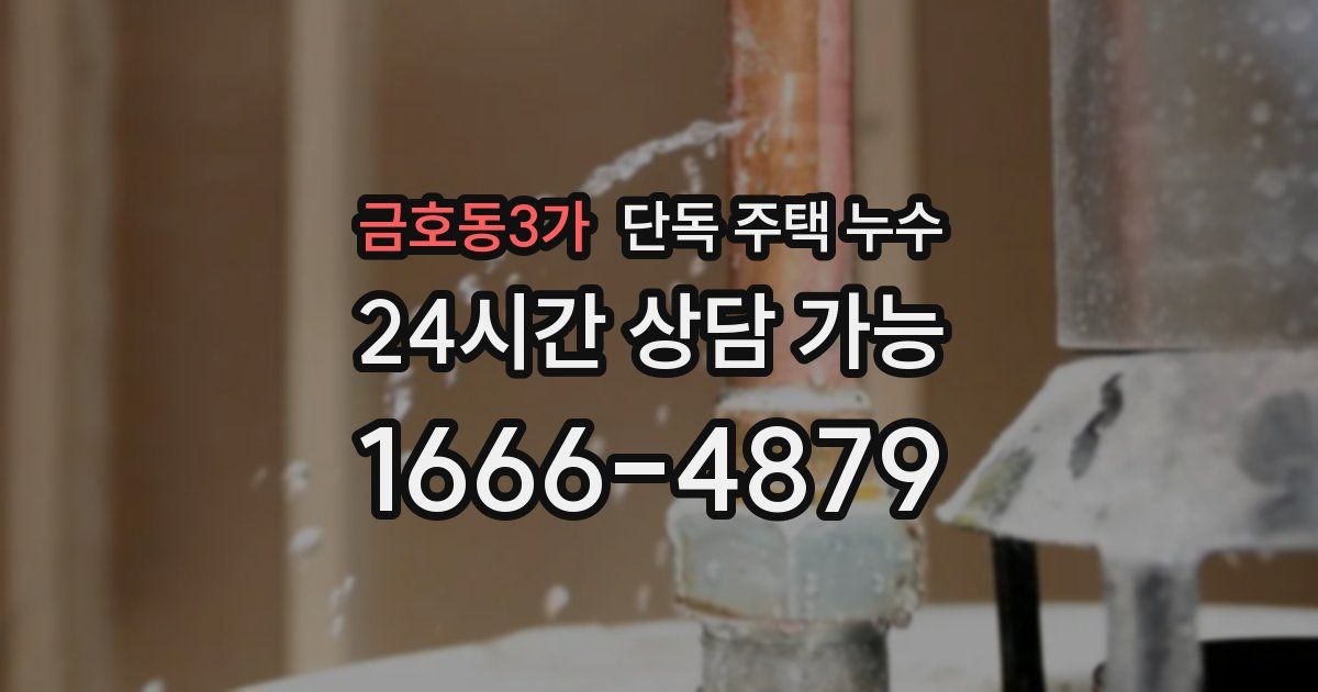 금호동3가 단독 주택 누수