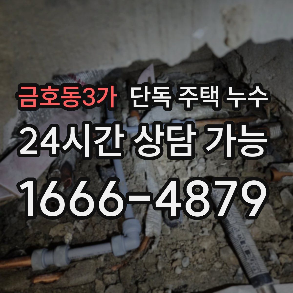 금호동3가 단독 주택 누수