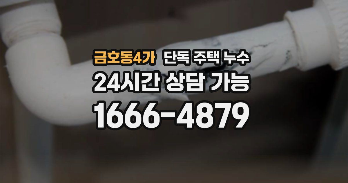 금호동4가 단독 주택 누수