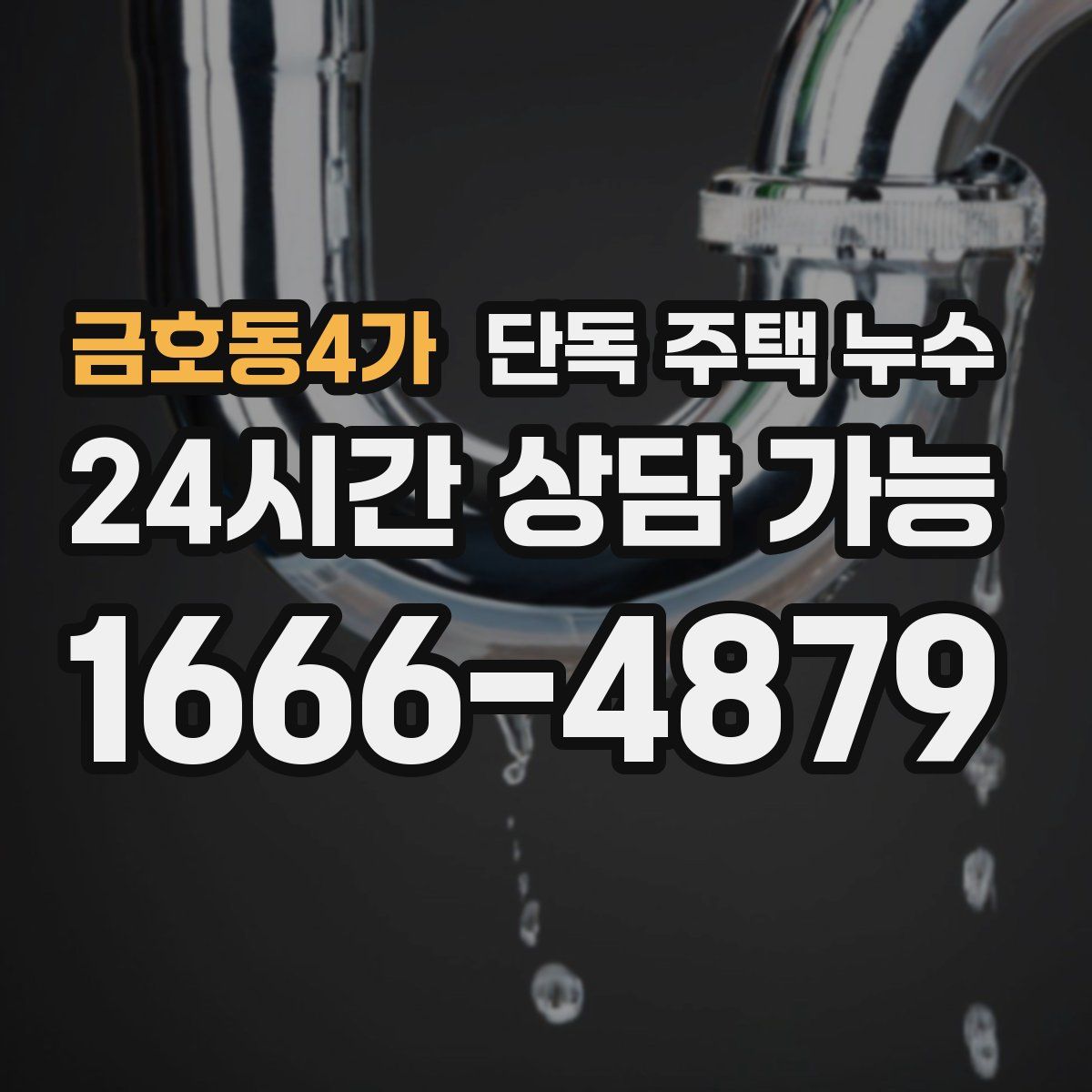 금호동4가 단독 주택 누수