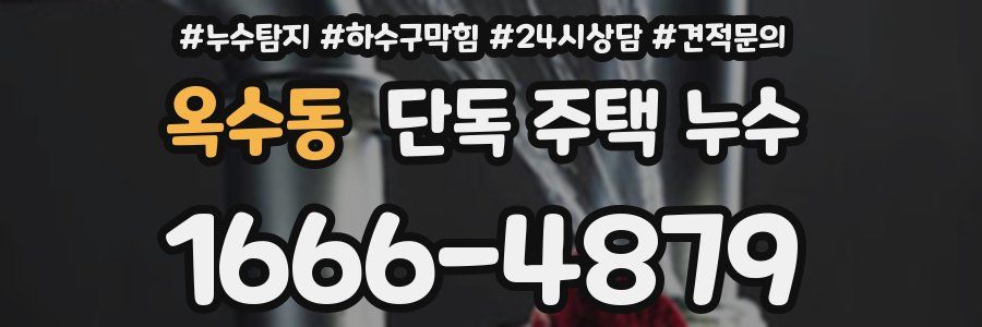 옥수동 단독 주택 누수