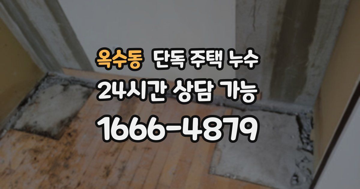 옥수동 단독 주택 누수