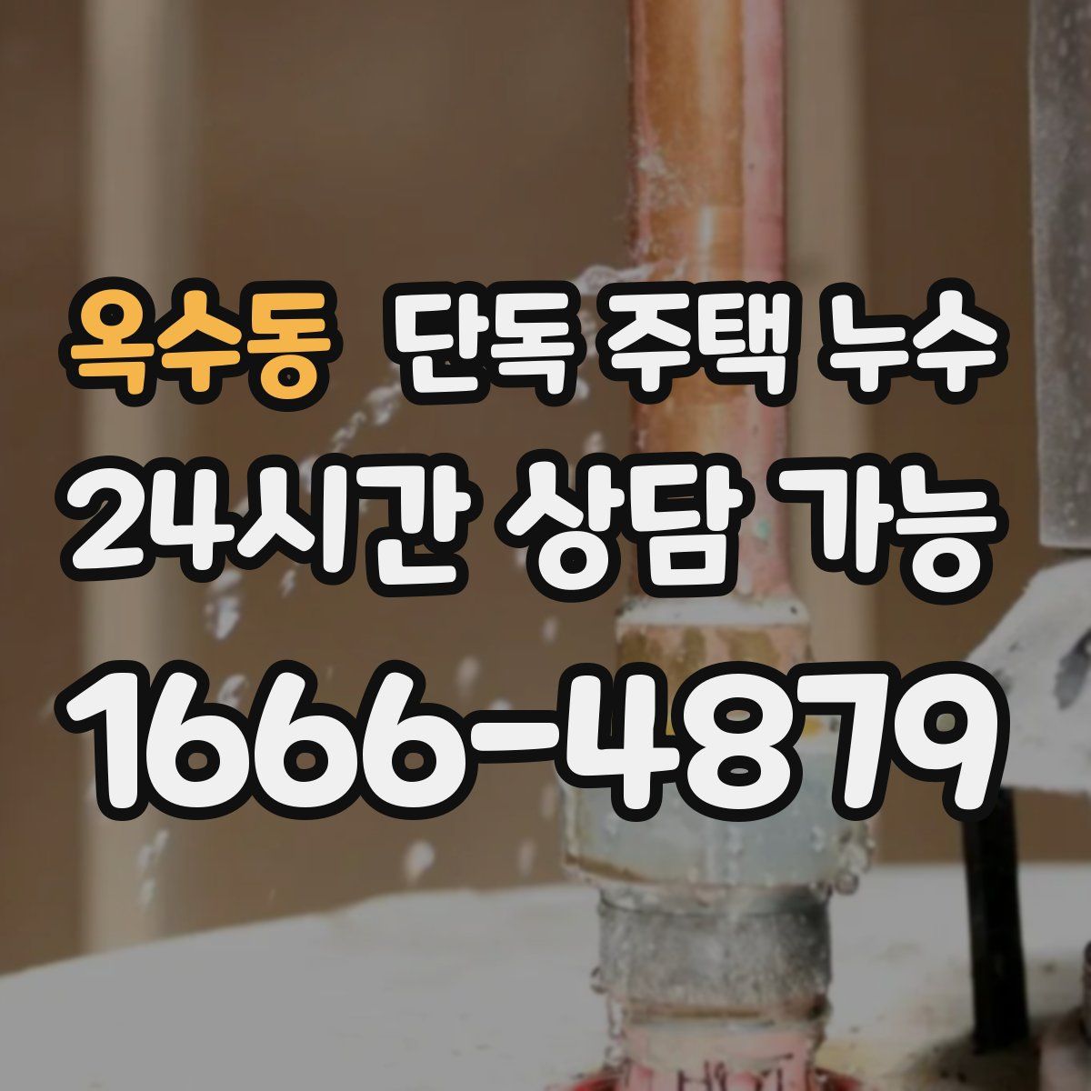 옥수동 단독 주택 누수