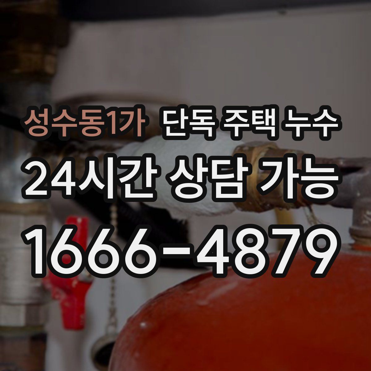 성수동1가 단독 주택 누수