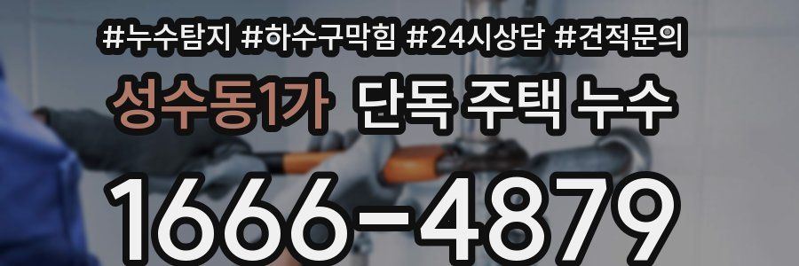 성수동1가 단독 주택 누수