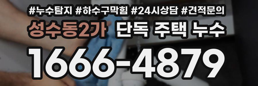 성수동2가 단독 주택 누수