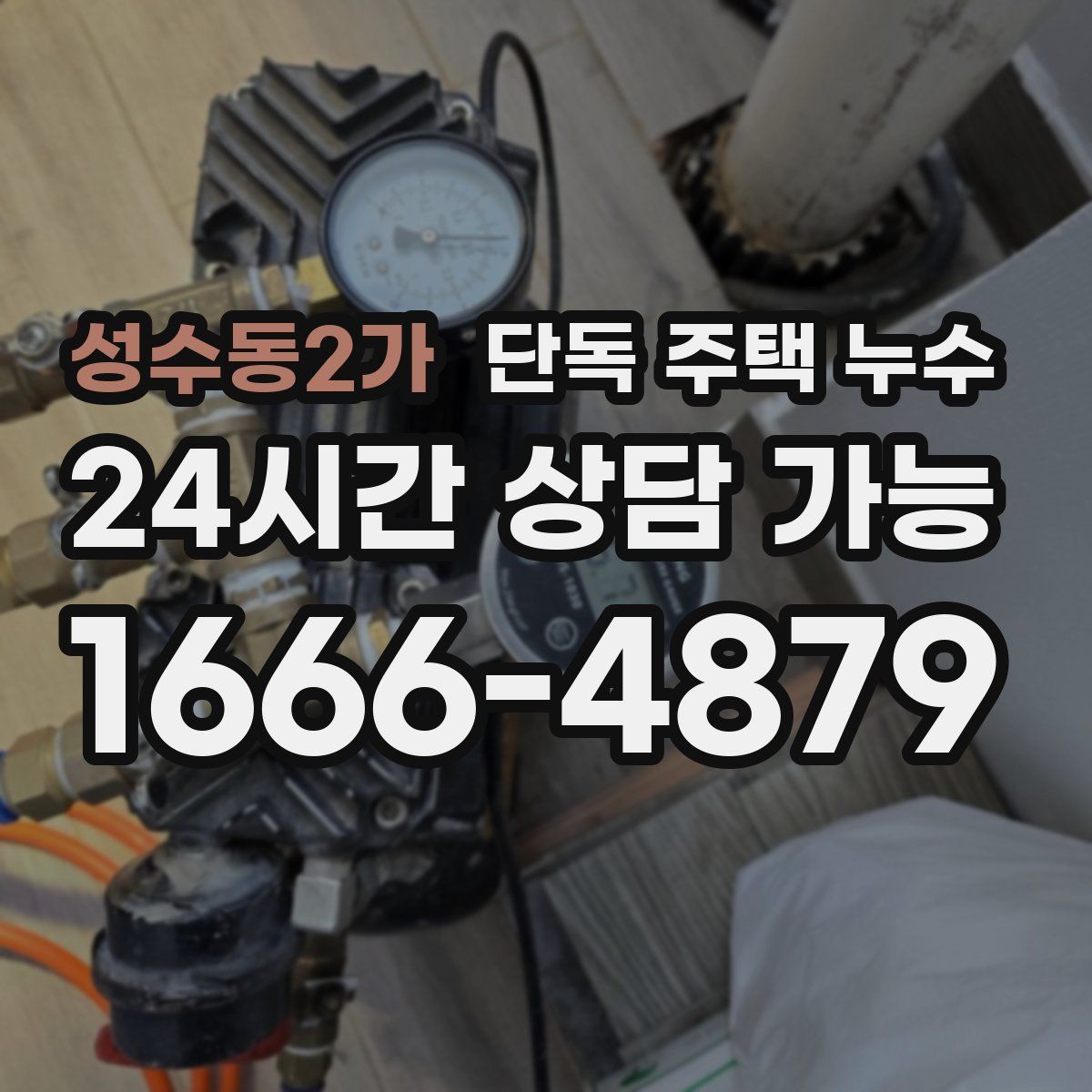 성수동2가 단독 주택 누수