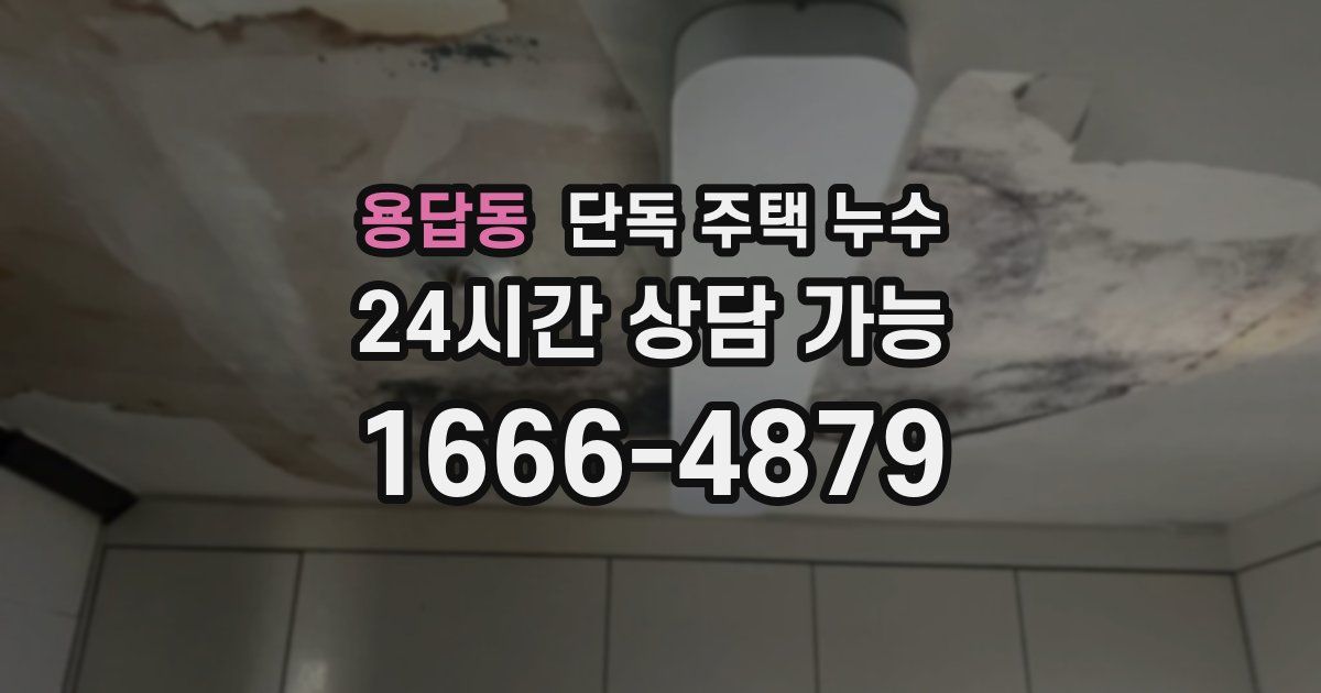 용답동 단독 주택 누수