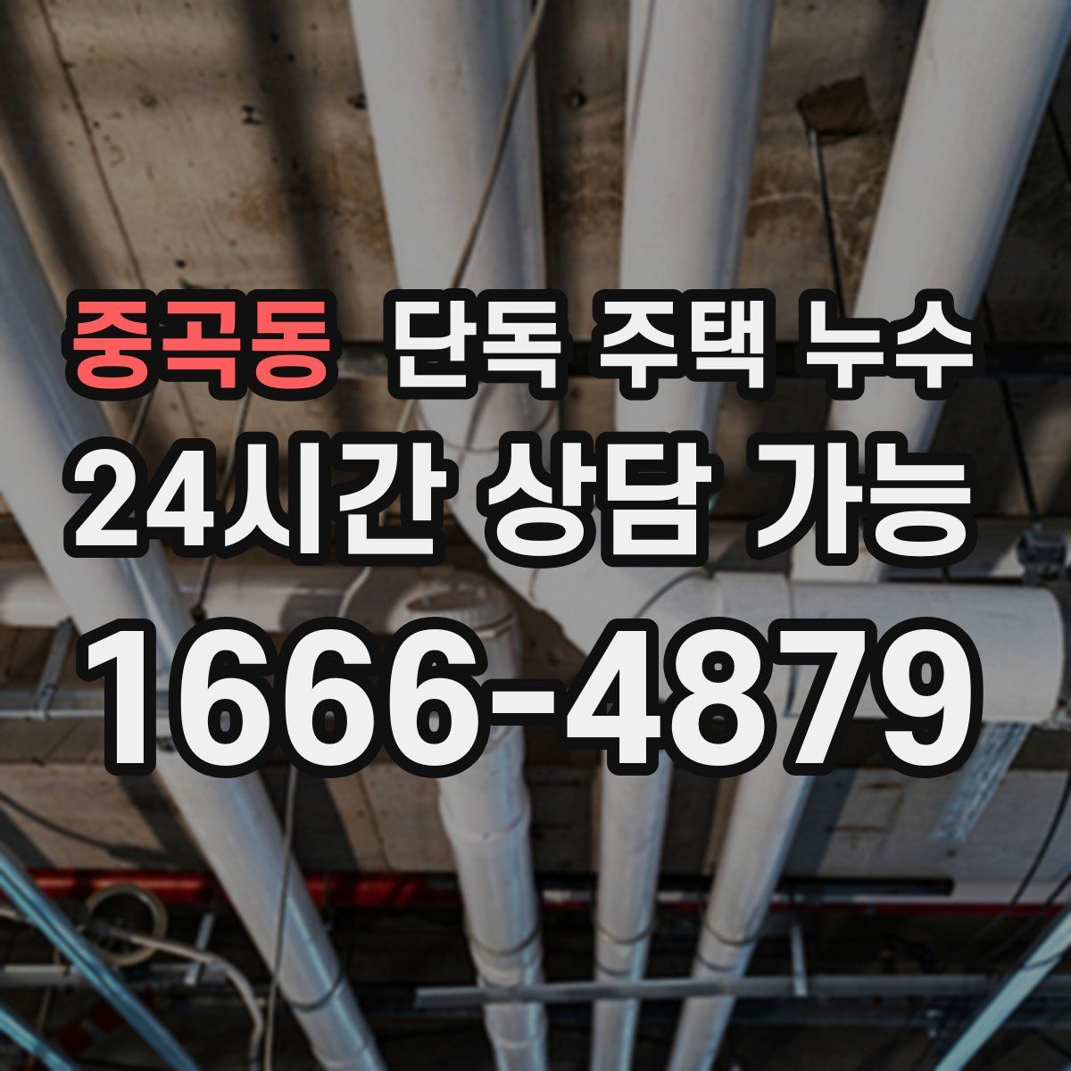 중곡동 단독 주택 누수