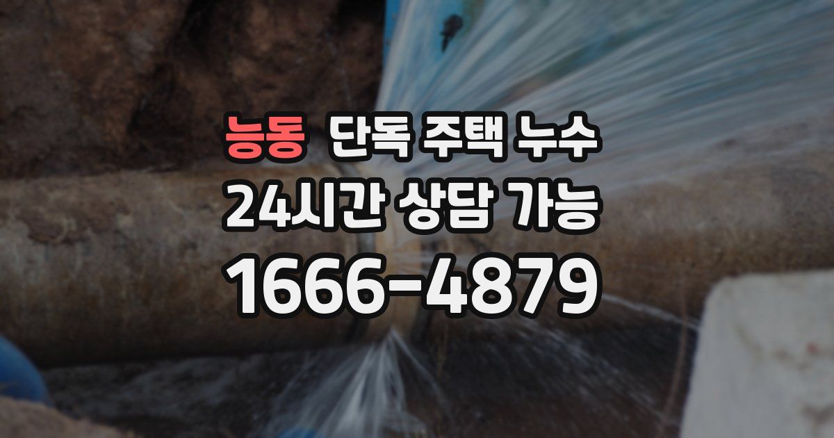 능동 단독 주택 누수