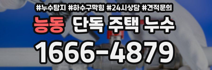 능동 단독 주택 누수
