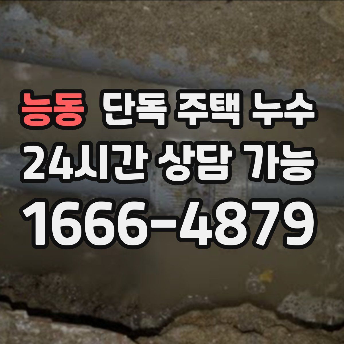 능동 단독 주택 누수