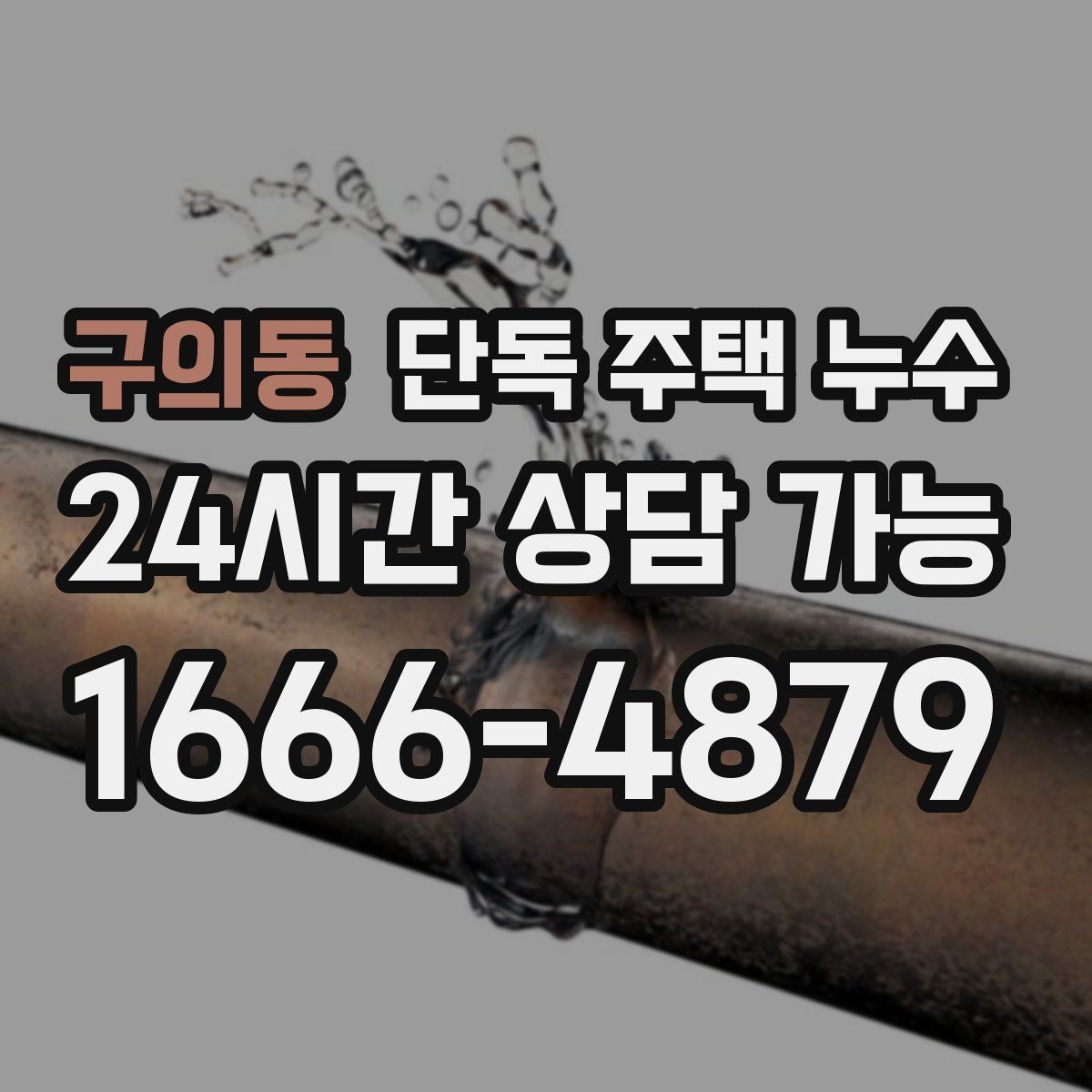 구의동 단독 주택 누수 마당 배수로가 막혔을 때 실내 영향