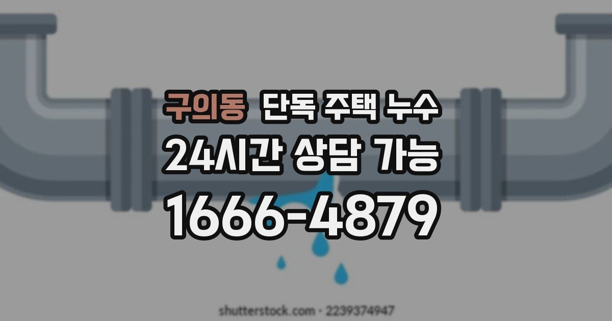 구의동 단독 주택 누수