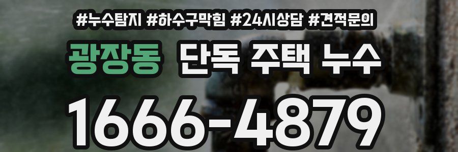광장동 단독 주택 누수