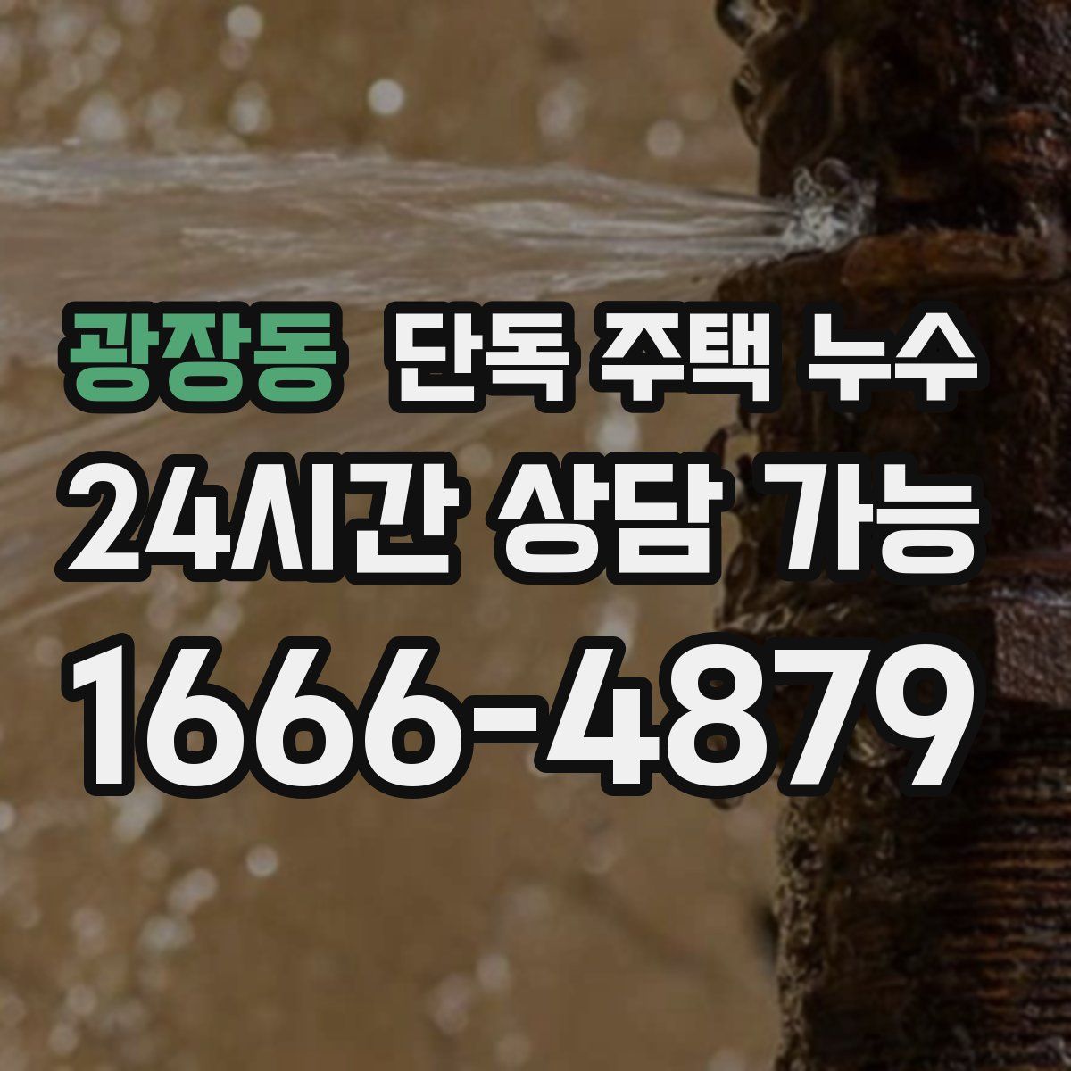 광장동 단독 주택 누수