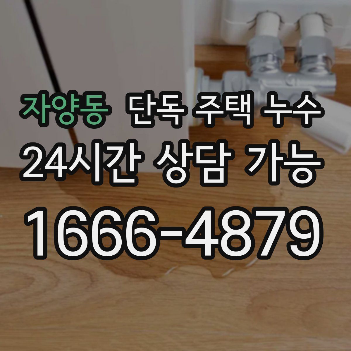 자양동 단독 주택 누수