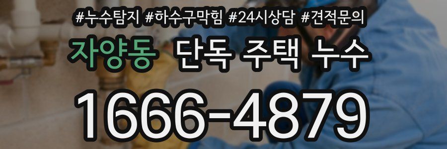 자양동 단독 주택 누수