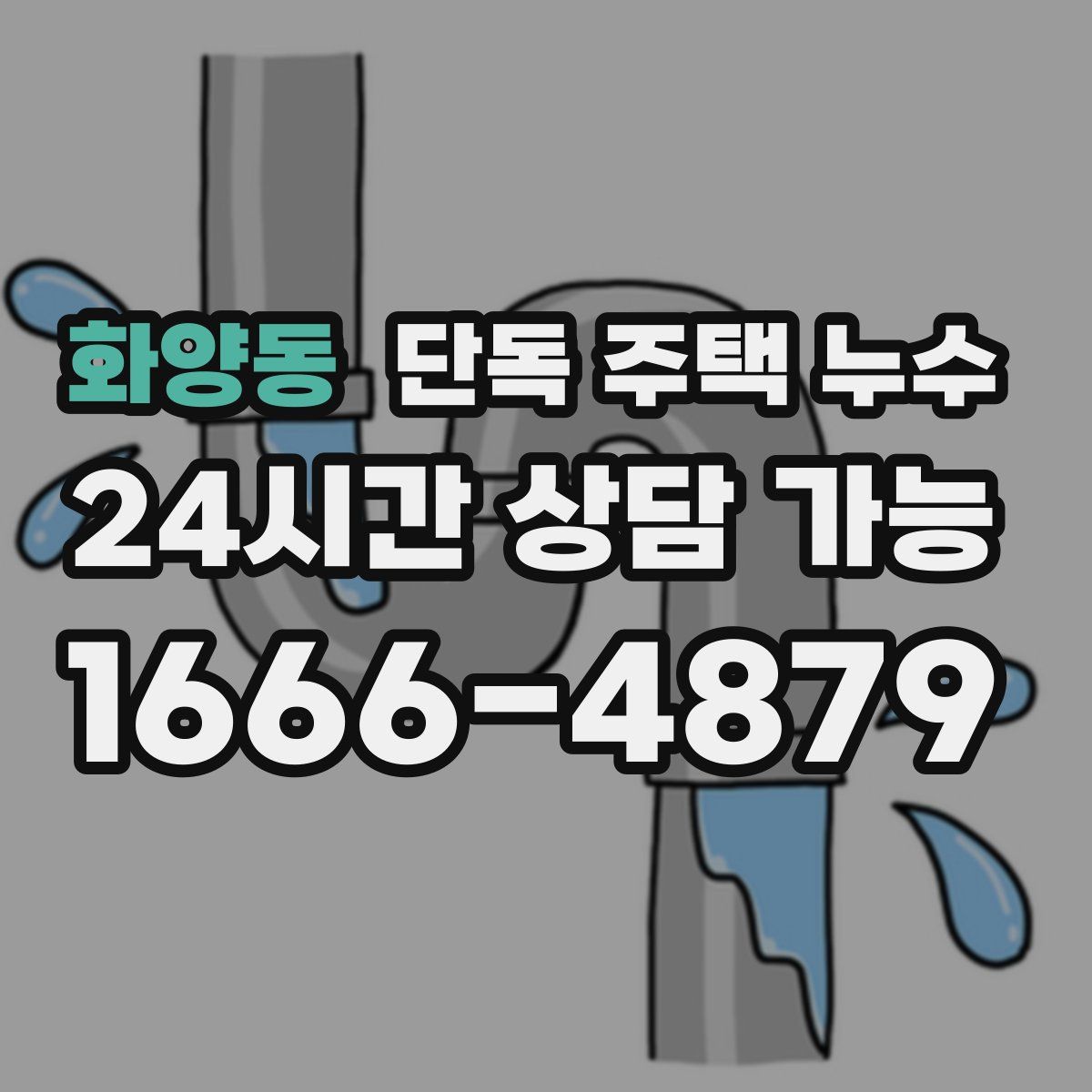 화양동 단독 주택 누수