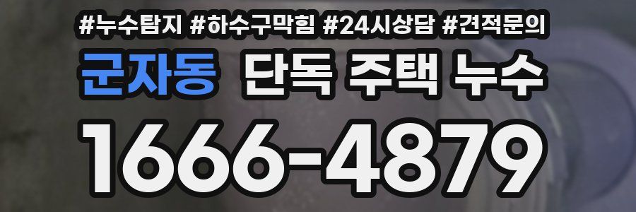 군자동 단독 주택 누수