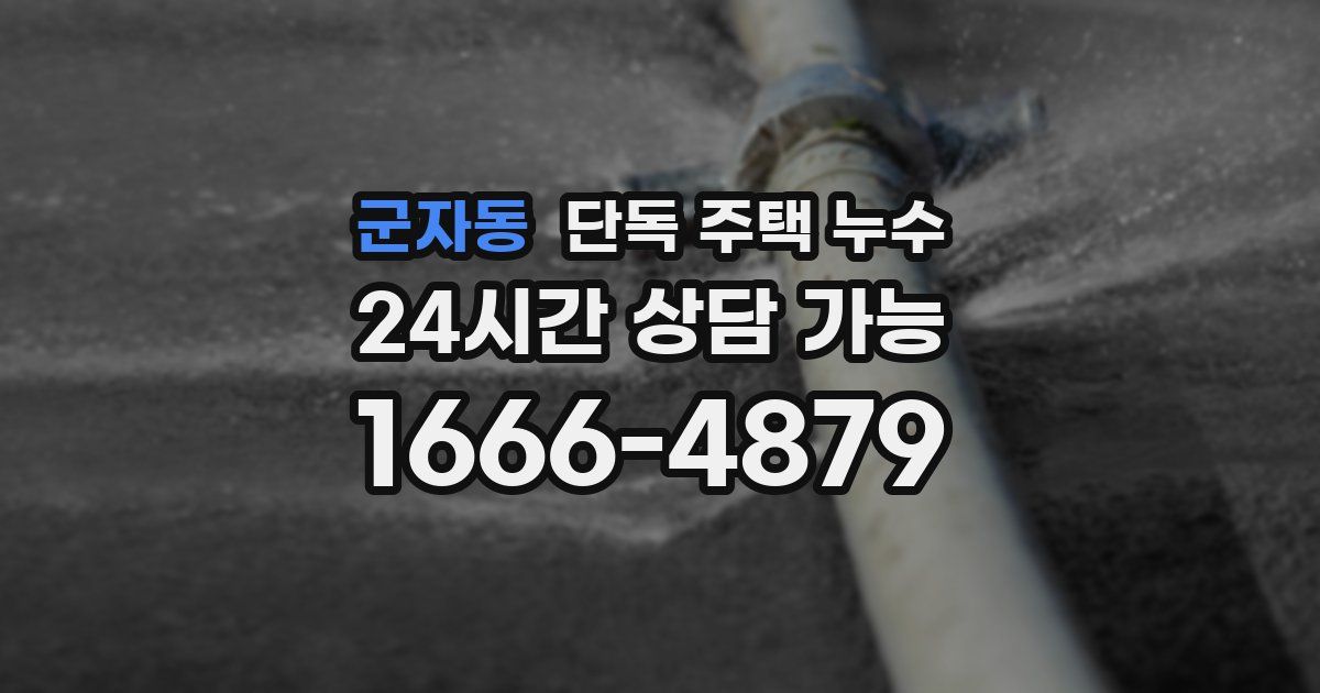 군자동 단독 주택 누수