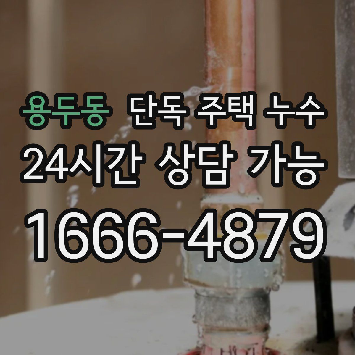 용두동 단독 주택 누수