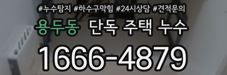 용두동 단독 주택 누수