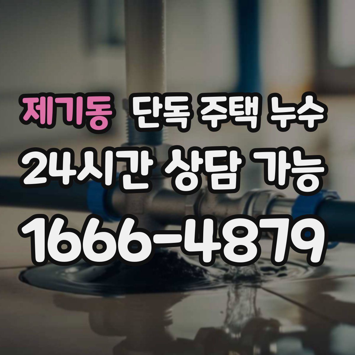 제기동 단독 주택 누수