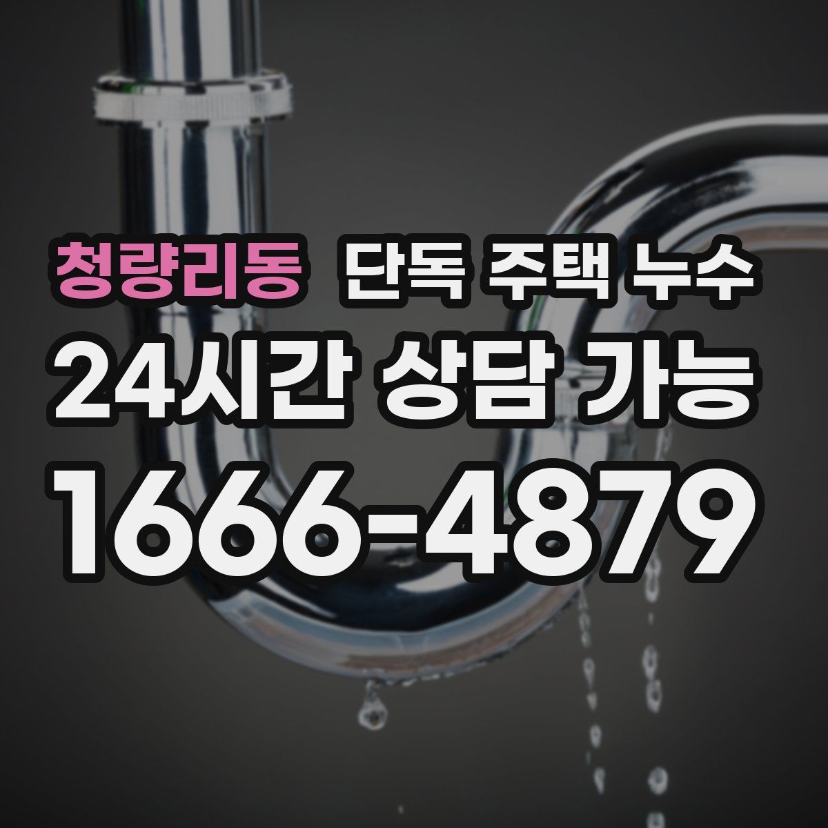 청량리동 단독 주택 누수