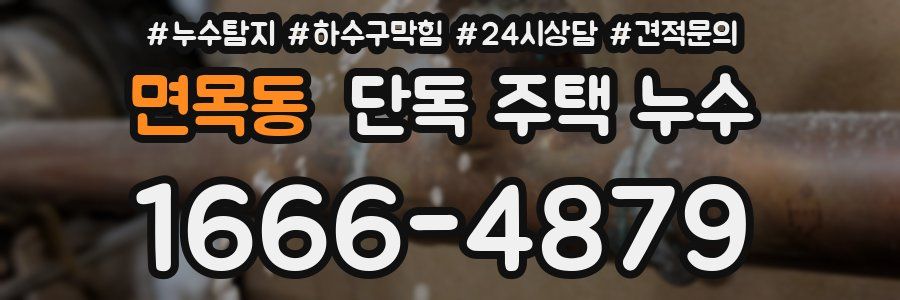 면목동 단독 주택 누수