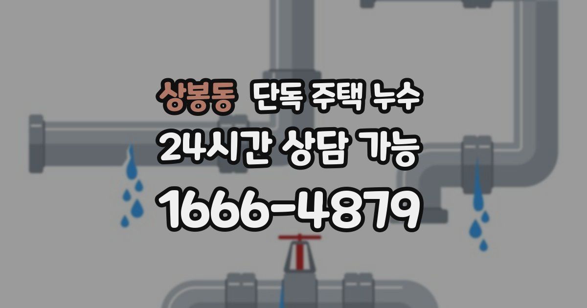 상봉동 단독 주택 누수