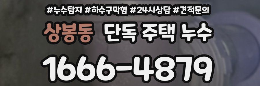 상봉동 단독 주택 누수