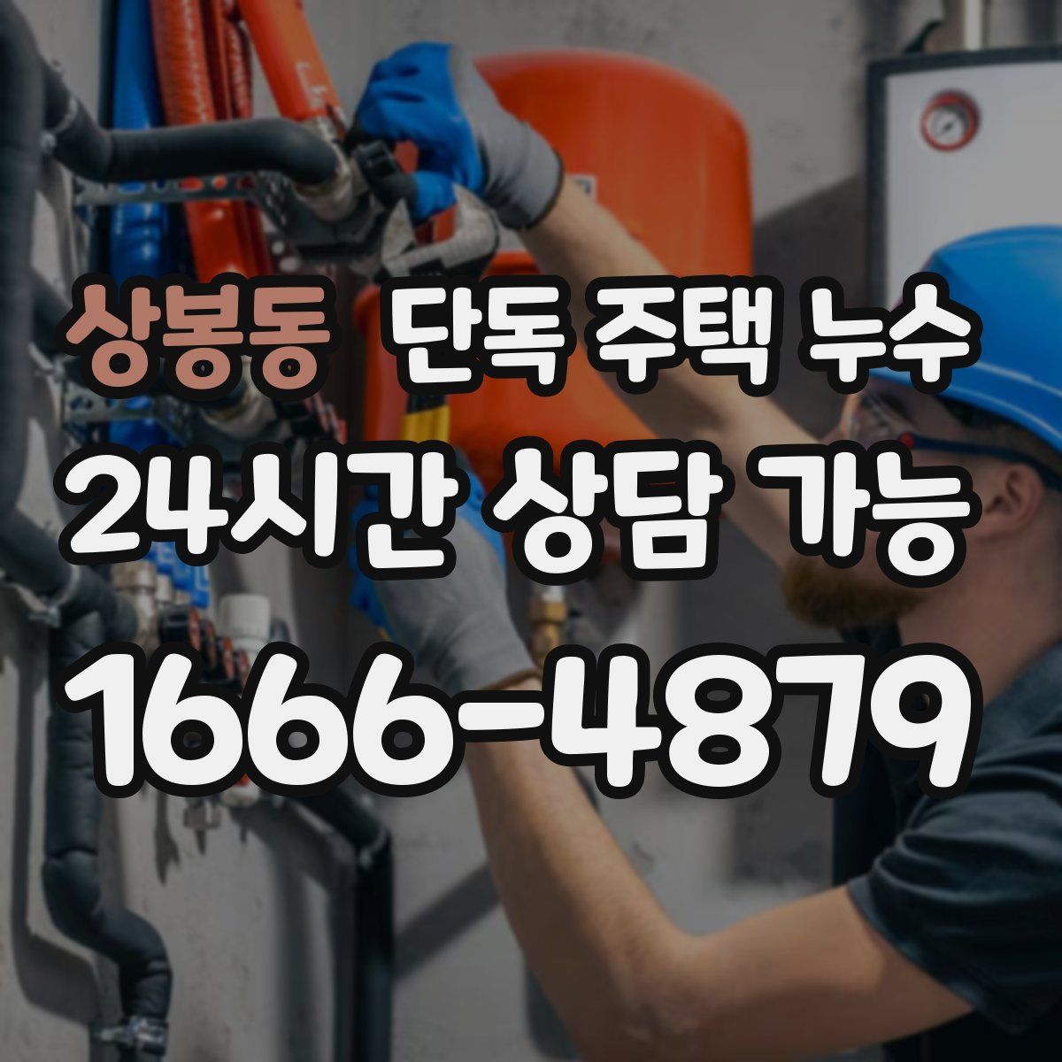 상봉동 단독 주택 누수