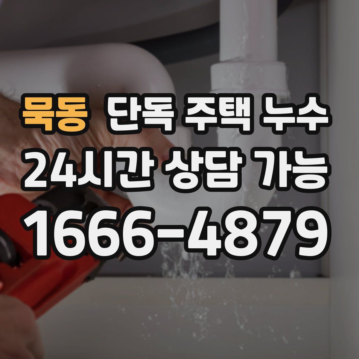 묵동 단독 주택 누수