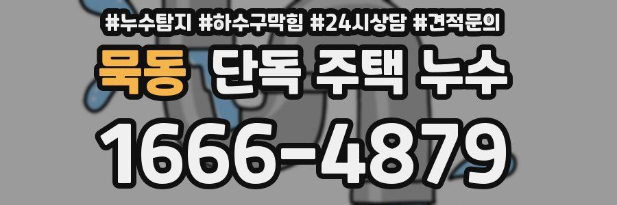 묵동 단독 주택 누수