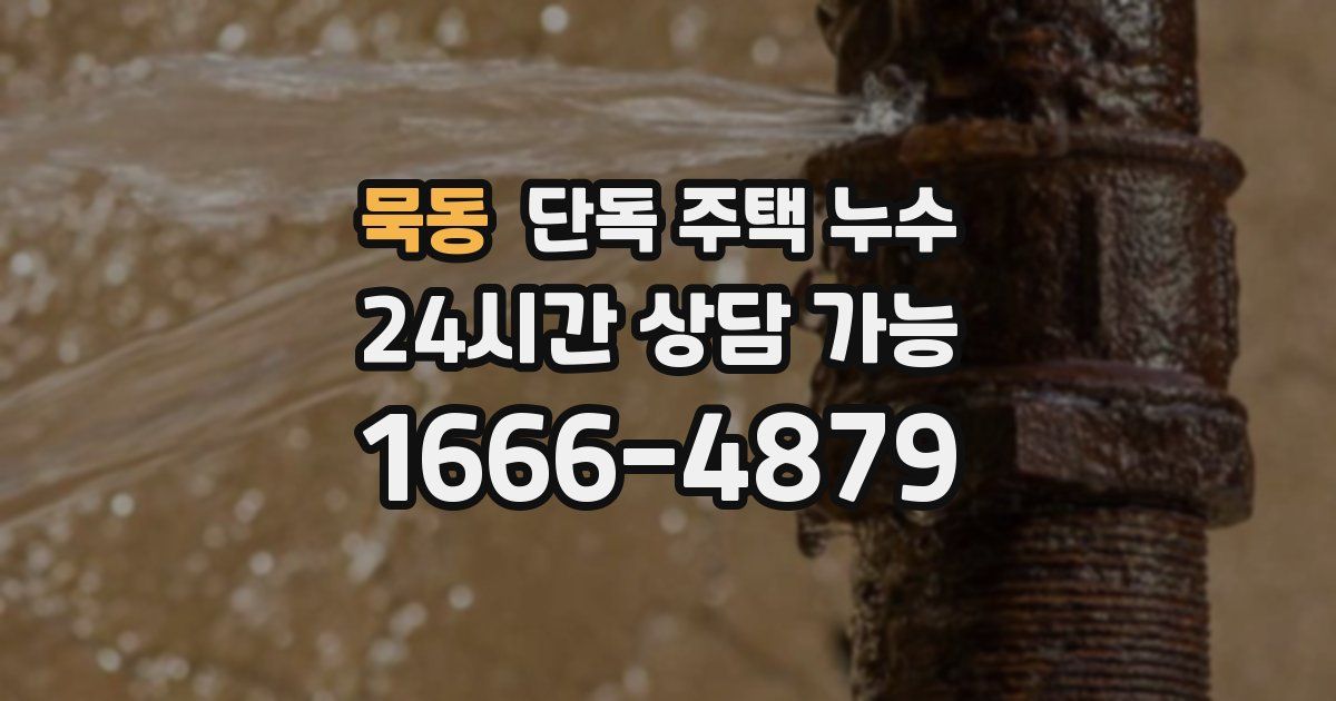 묵동 단독 주택 누수
