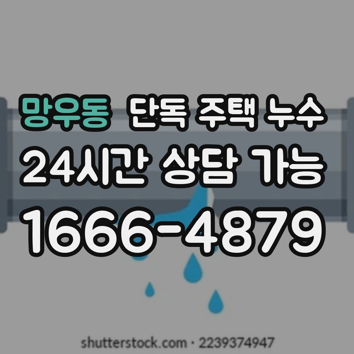망우동 단독 주택 누수 욕실 바닥 타일 틈새에서 물이 스며들 때