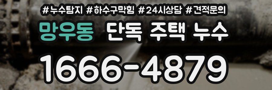 망우동 단독 주택 누수