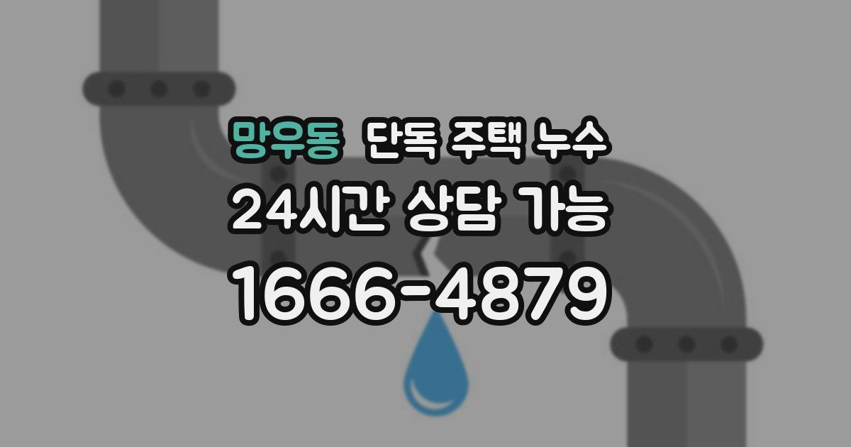 망우동 단독 주택 누수