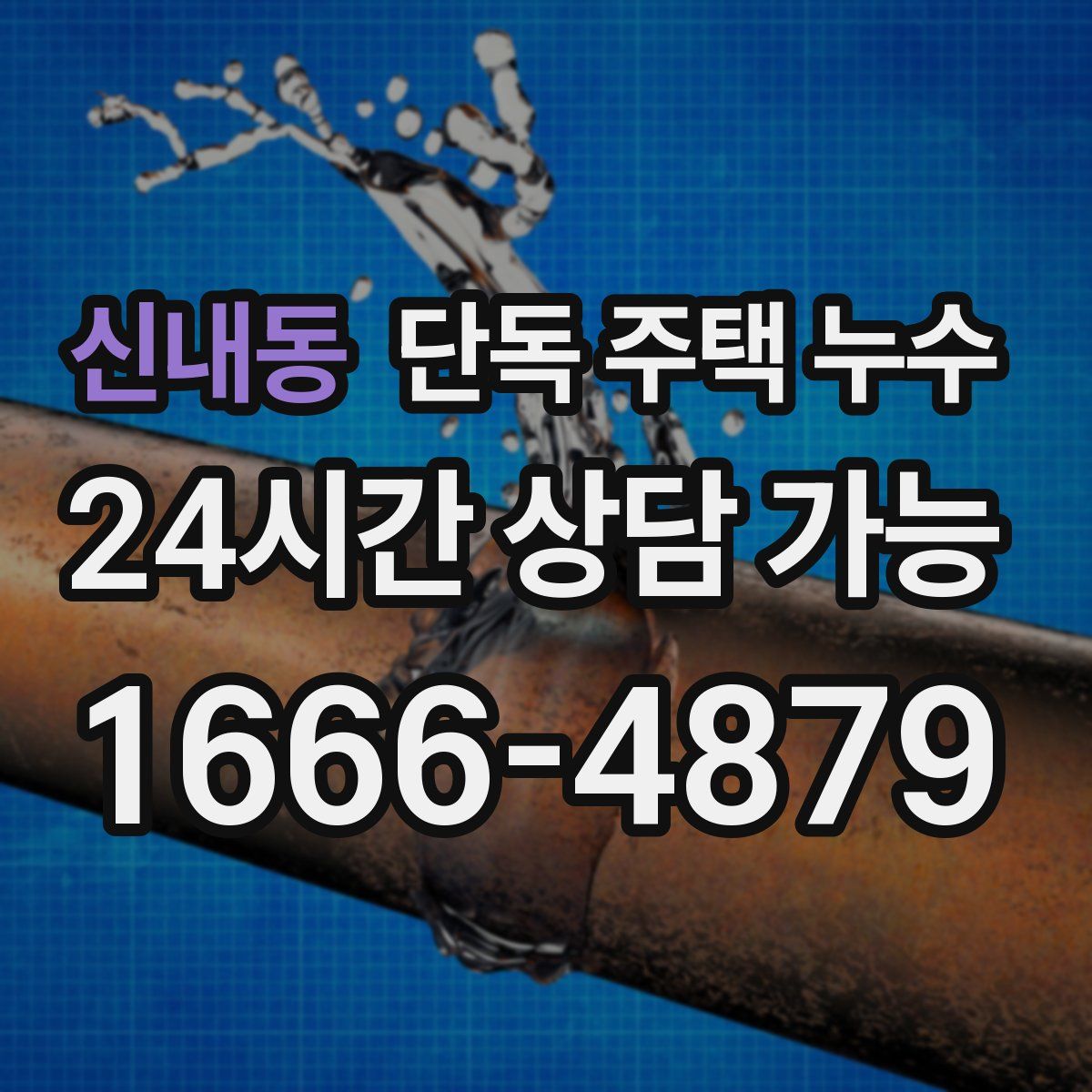 신내동 단독 주택 누수