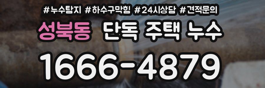 성북동 단독 주택 누수