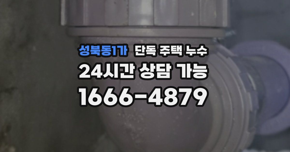 성북동1가 단독 주택 누수