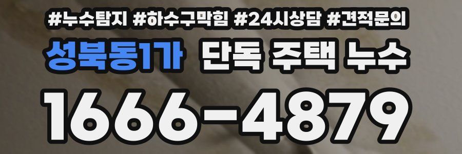 성북동1가 단독 주택 누수