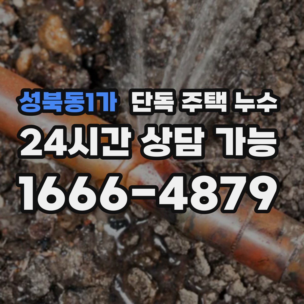 성북동1가 단독 주택 누수