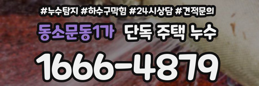 동소문동1가 단독 주택 누수