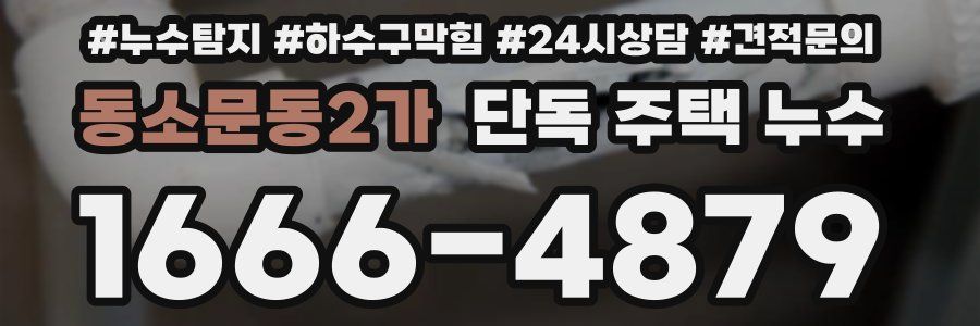 동소문동2가 단독 주택 누수