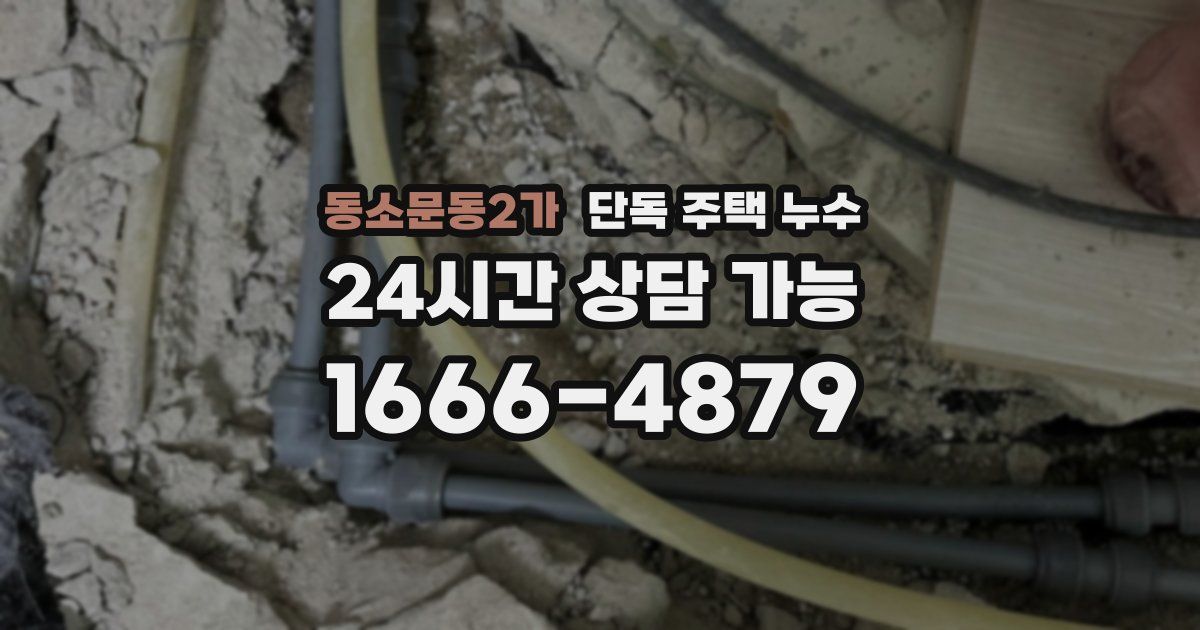 동소문동2가 단독 주택 누수