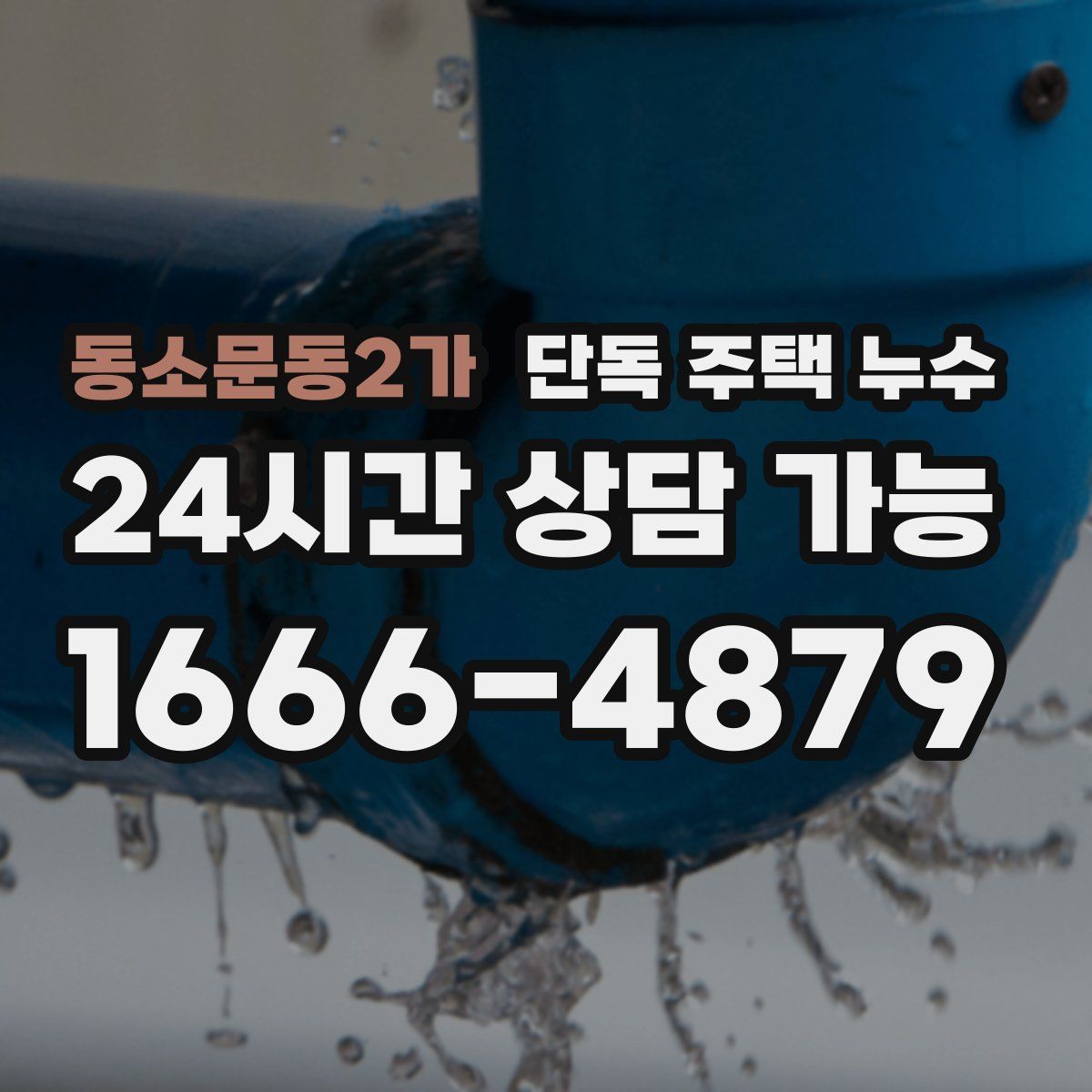 동소문동2가 단독 주택 누수