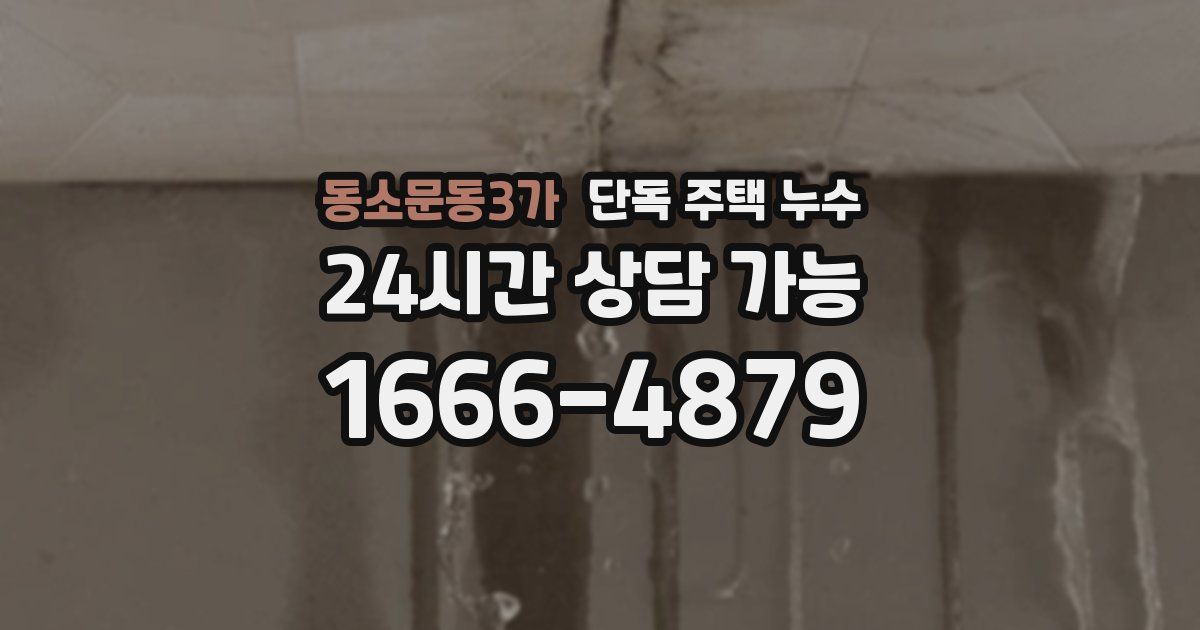 동소문동3가 단독 주택 누수